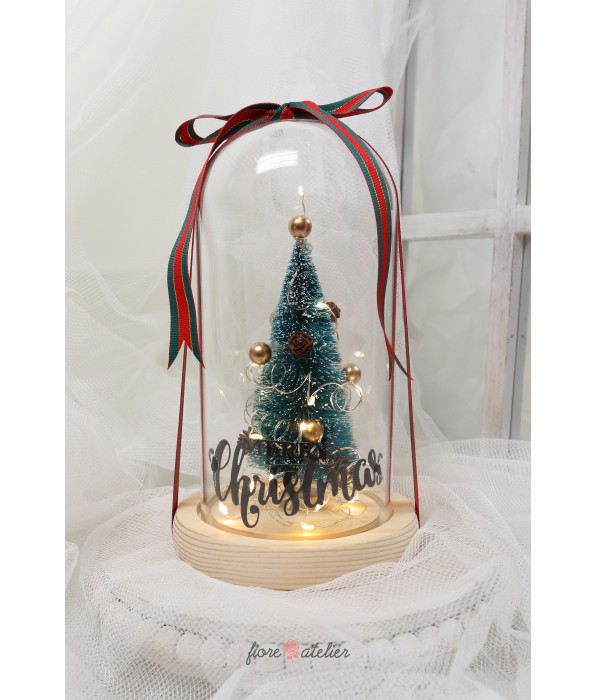 Glass Dome with Fairy lights, Christmas Decorations, Christmas ...