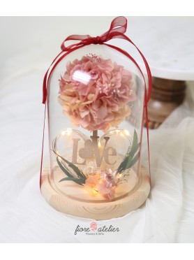 Preserved Flower Glass Dome with LED Hydrangea with LOVE Valentines day gift Happy Birthday Gift 